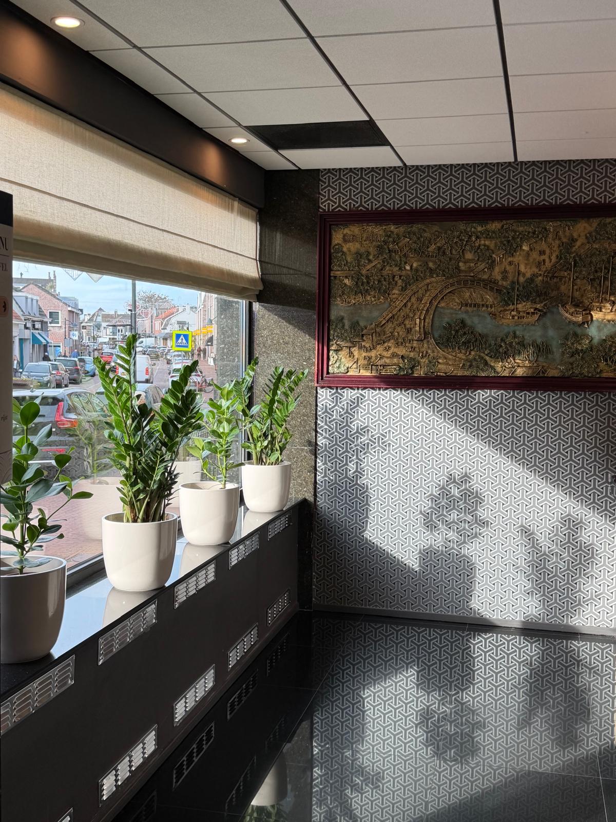 Entree met planten in witte potten bij het raam en een gouden reliëf aan de wand